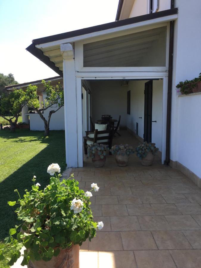 Villa Olga タルクイーニア エクステリア 写真