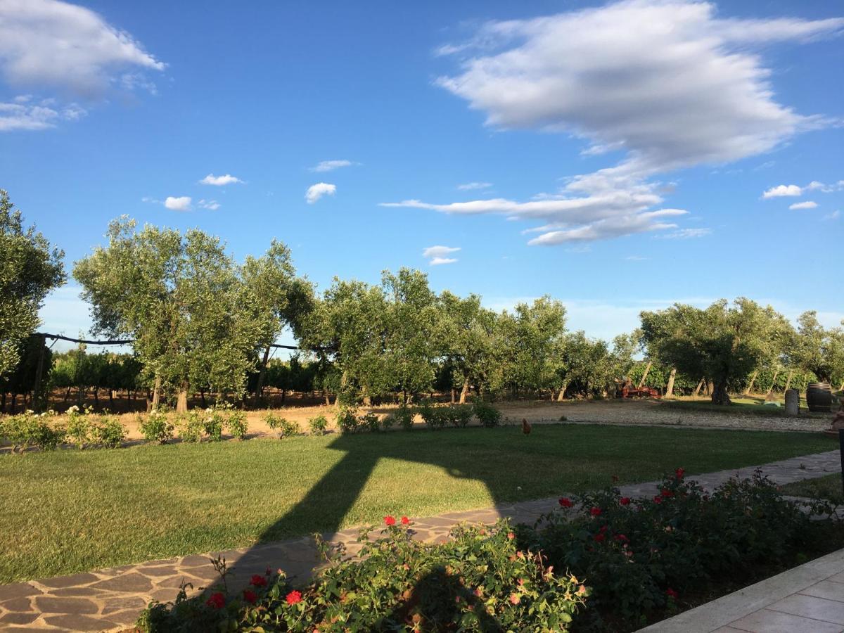 Villa Olga タルクイーニア エクステリア 写真