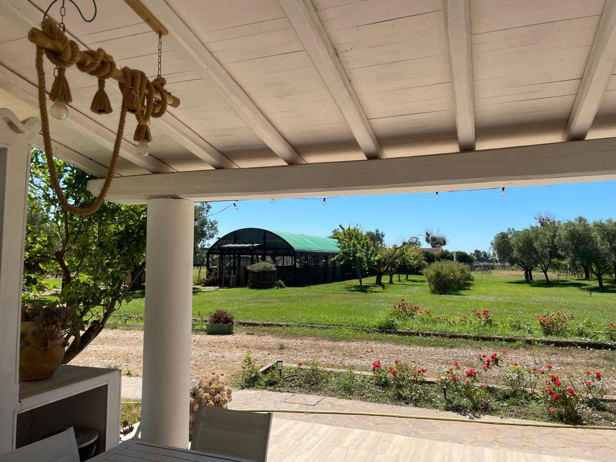 Villa Olga タルクイーニア エクステリア 写真