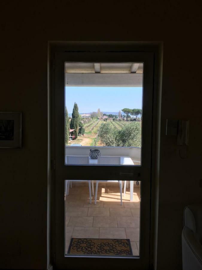 Villa Olga タルクイーニア エクステリア 写真