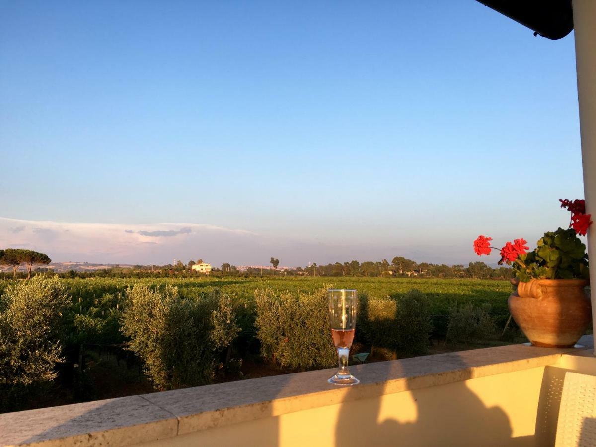 Villa Olga タルクイーニア エクステリア 写真